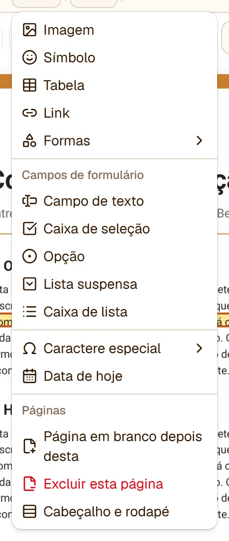 O menu Inserir: Imagem, Símbolo, Tabela, Link, Formas, os campos de formulário, Caractere especial, Data de hoje e o grupo Páginas - Página em branco depois desta, Excluir esta página, Cabeçalho e rodapé