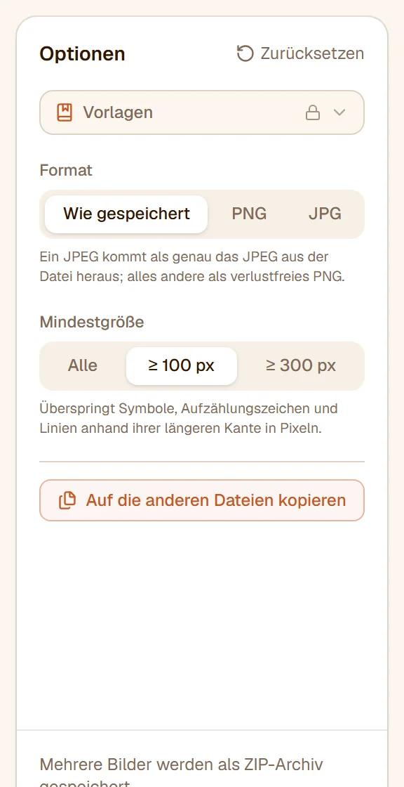 Die Optionsleiste: Format auf Wie gespeichert, Mindestgröße bei 100 px