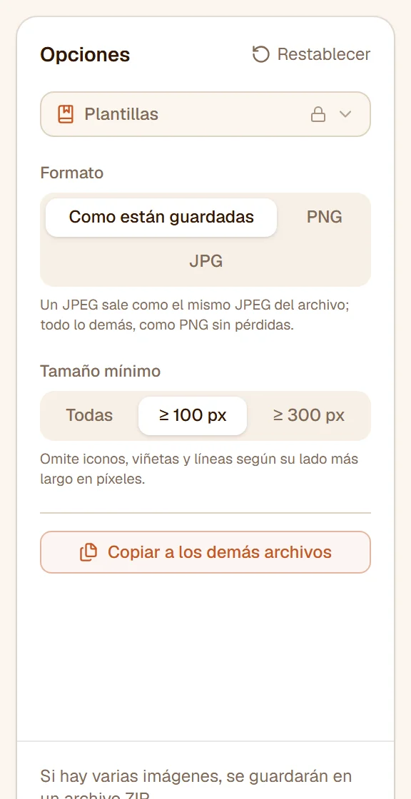 El panel: Formato en Como están guardadas, Tamaño mínimo en 100 px