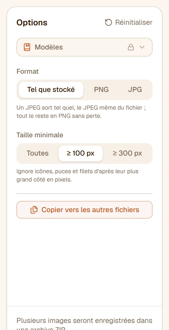 Le panneau : Format réglé sur Tel que stocké, Taille minimale à 100 px