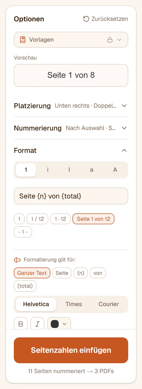 Der Abschnitt Format mit der Vorlage Seite {n} von {total}, den fertigen Vorlagen und den Einstellungen für Schrift, Schnitt, Farbe und Größe
