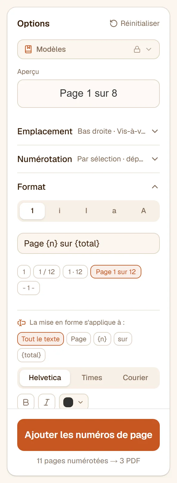 La section Format avec le modèle Page {n} sur {total}, les pastilles toutes faites et les réglages de police, de style, de couleur et de taille